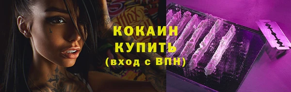 эйфоретик Богданович