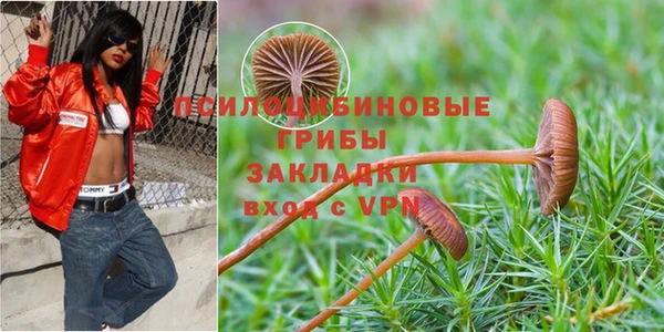 мдма Богородицк