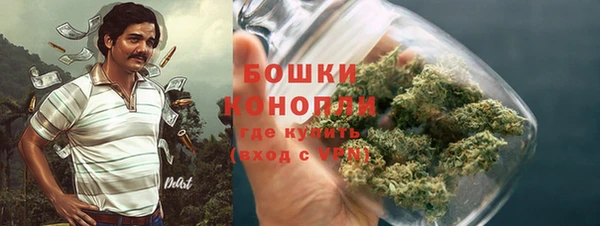 ECSTASY Богородск